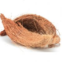 Coconut Coir/Fibre